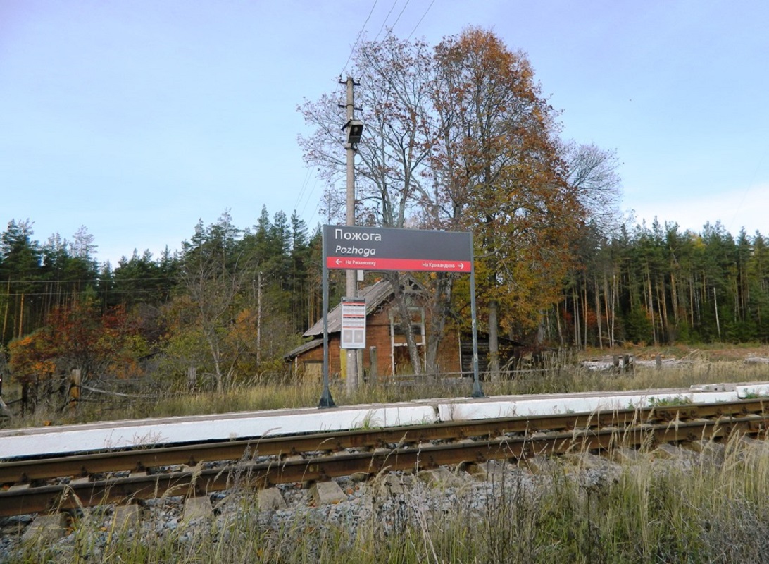 Окрестные леса станции Пожога, image of landscape/habitat.