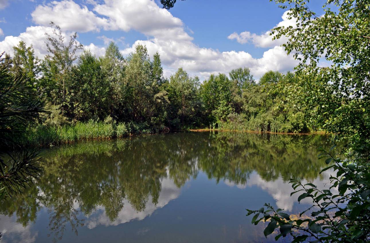 Окрестности посёлка Гжель, image of landscape/habitat.