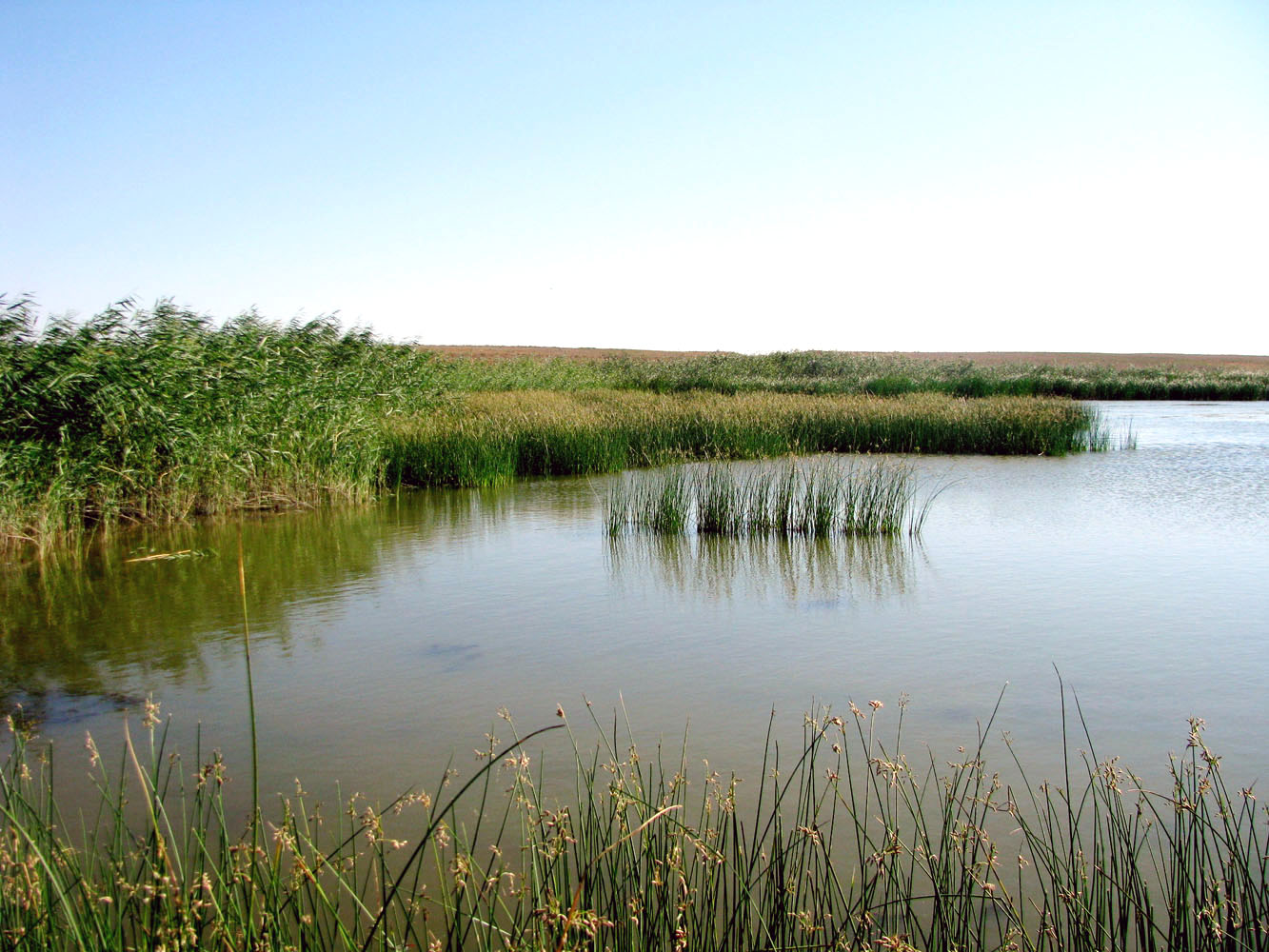 Западные подстепные ильмени, image of landscape/habitat.