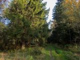 Image of landscape