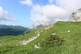 Южный склон горы Гузерипль, image of landscape/habitat.