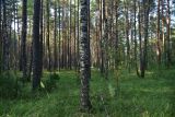 Изображение ландшафта
