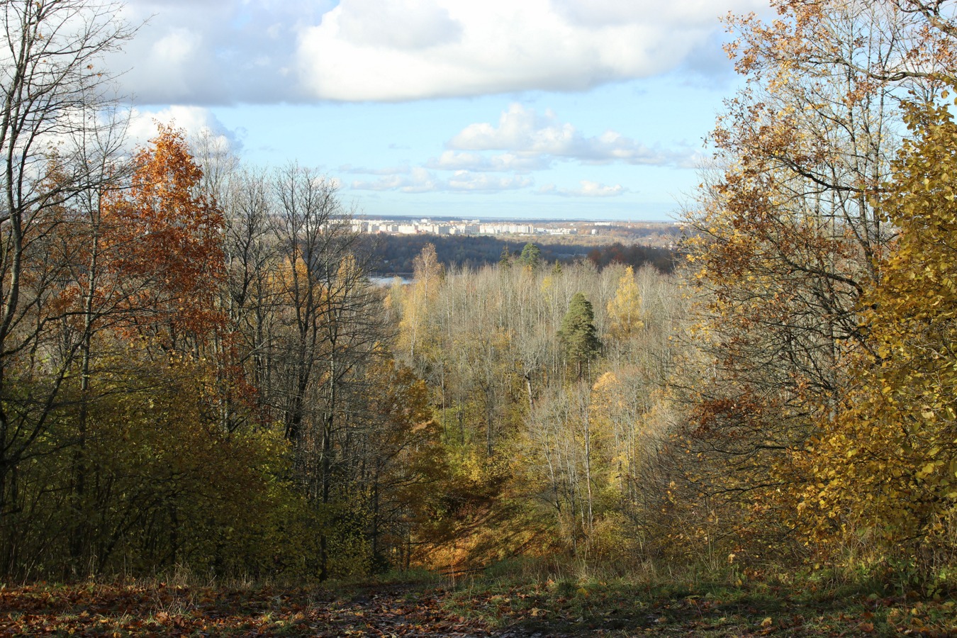Дудергофские высоты, image of landscape/habitat.