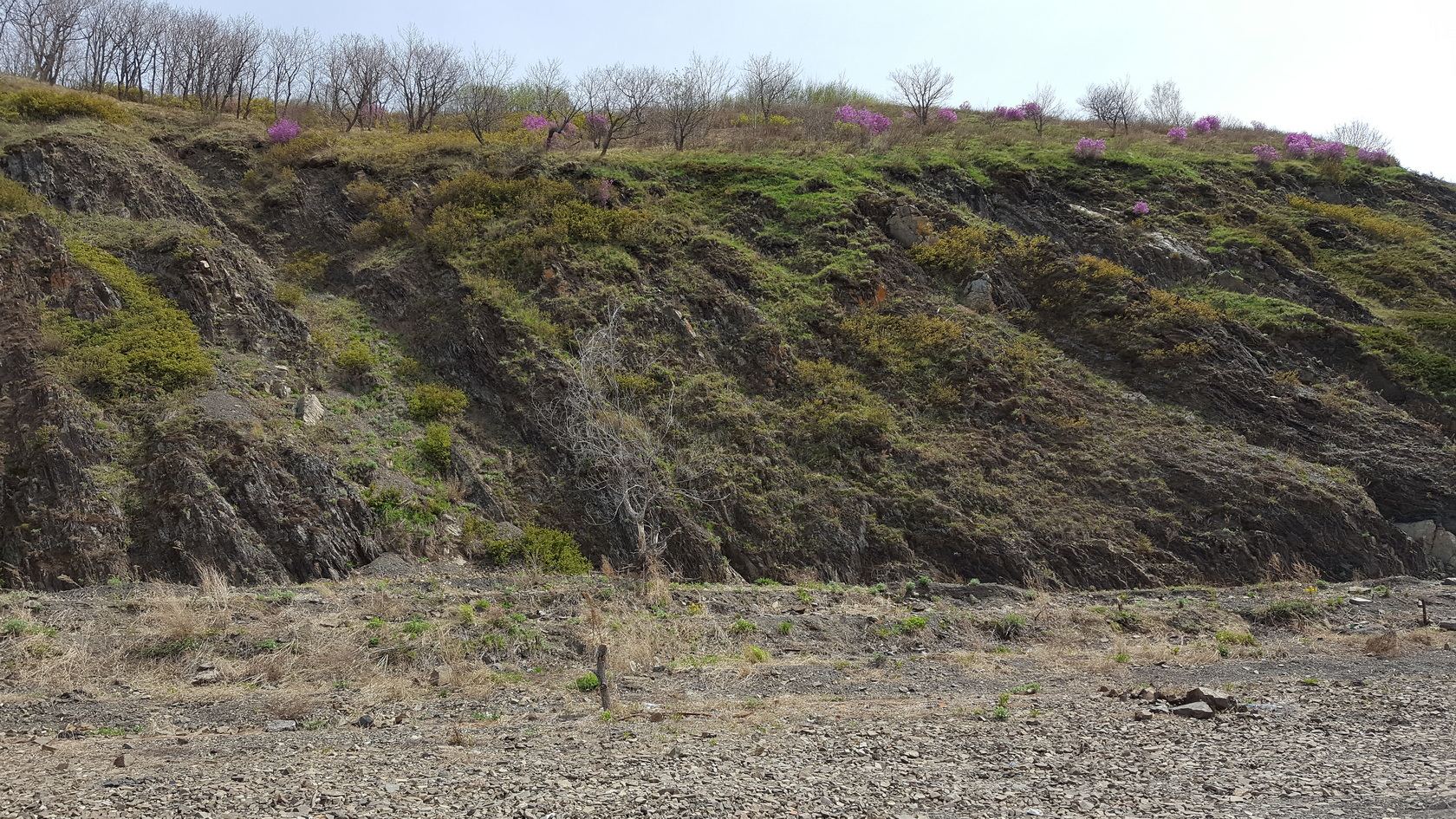 Комсомольск и окрестности, image of landscape/habitat.