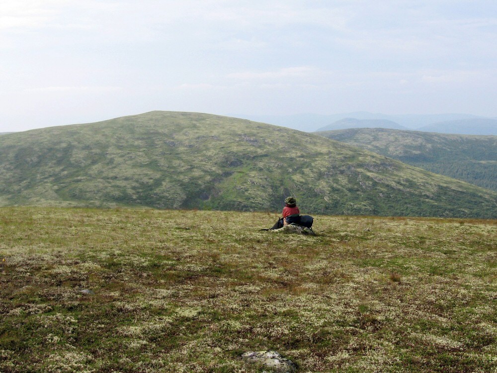 Колвицкие Тундры, image of landscape/habitat.