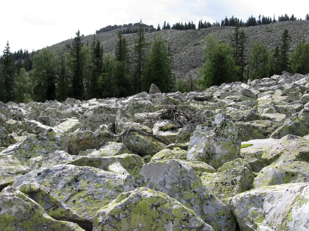 Зигальга, image of landscape/habitat.