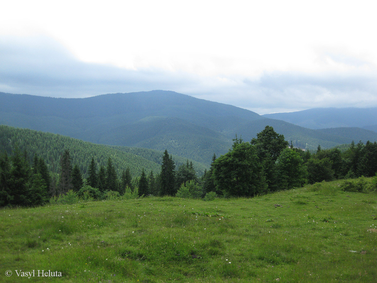 Перевал Легионов, image of landscape/habitat.