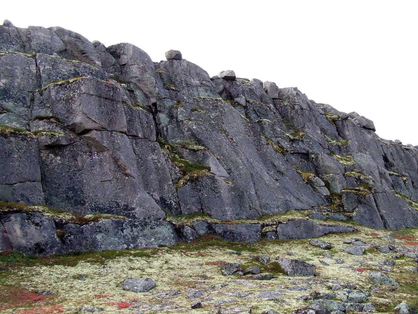 Поздняковское озеро, image of landscape/habitat.