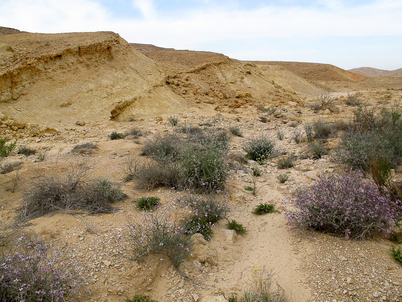 Эйлатские горы, image of landscape/habitat.