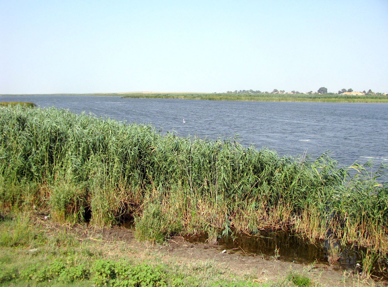 Западные подстепные ильмени, image of landscape/habitat.