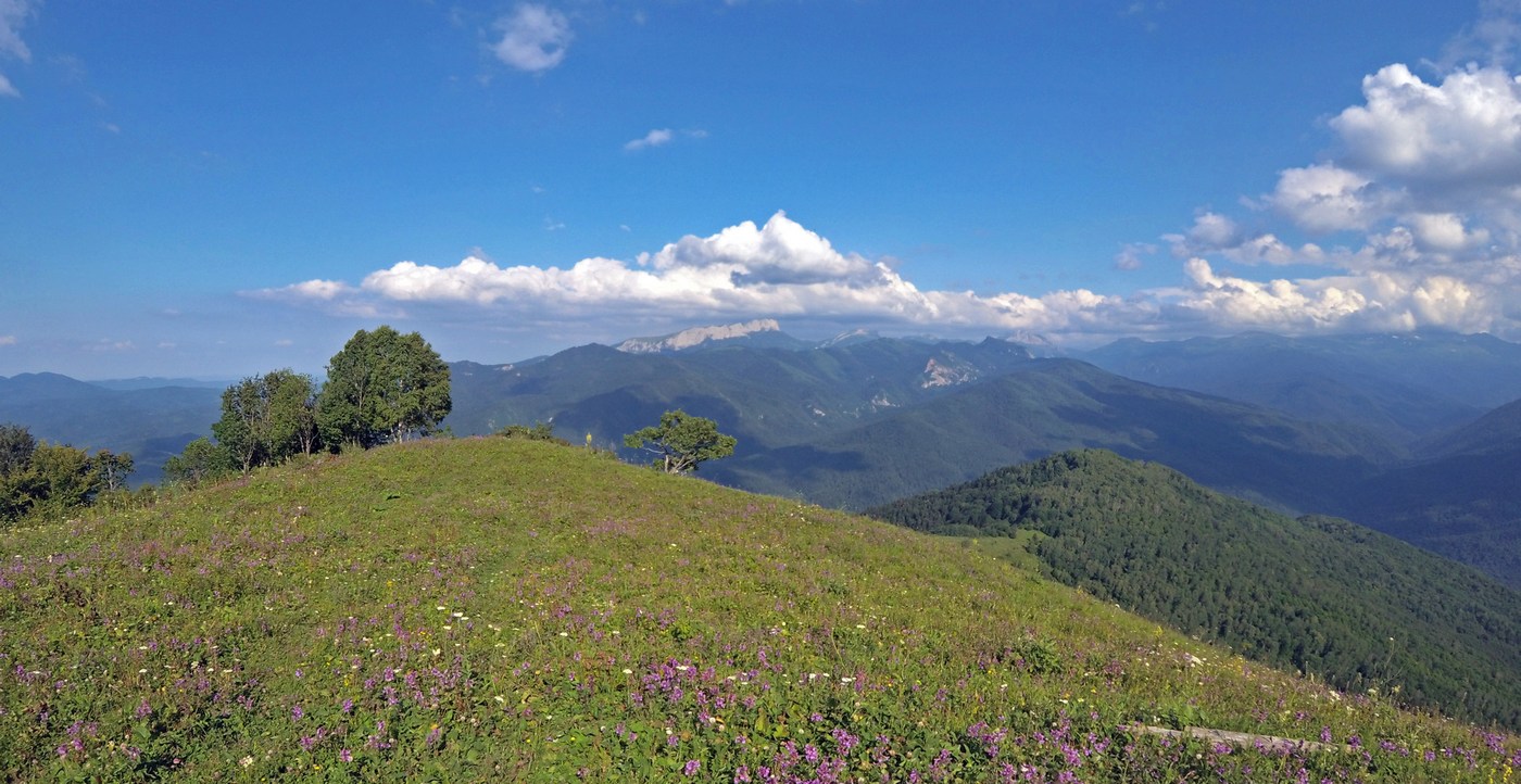 Хребет Ду-Ду-Гуш, image of landscape/habitat.