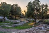 Image of landscape