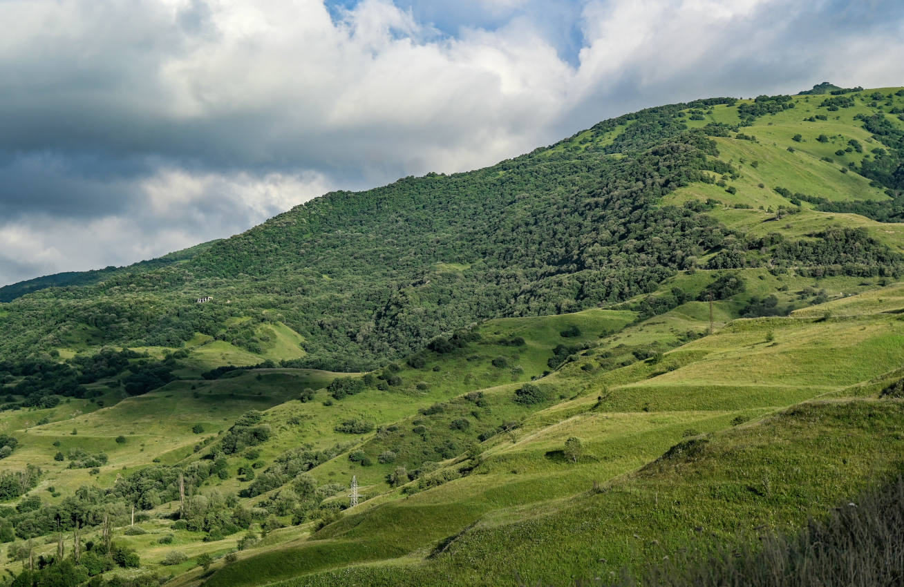 Какадурский перевал, image of landscape/habitat.