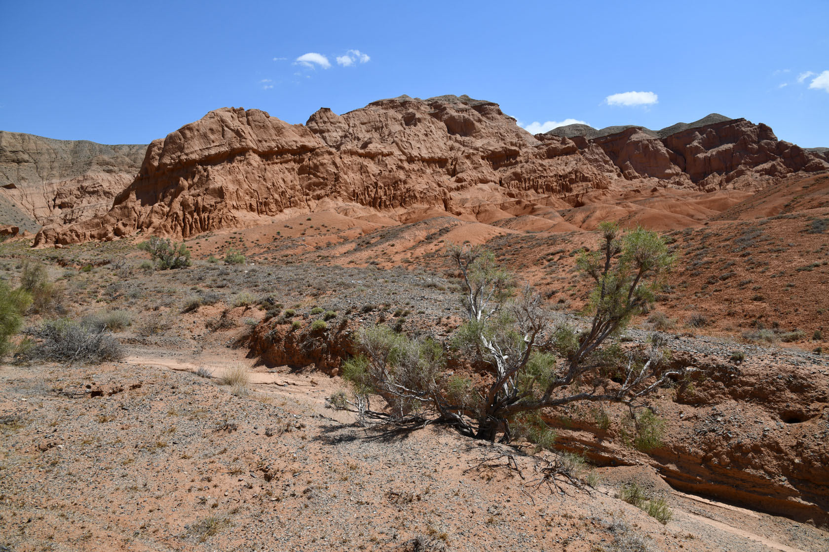 Горы Улькен-Богуты, image of landscape/habitat.