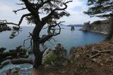 Image of landscape