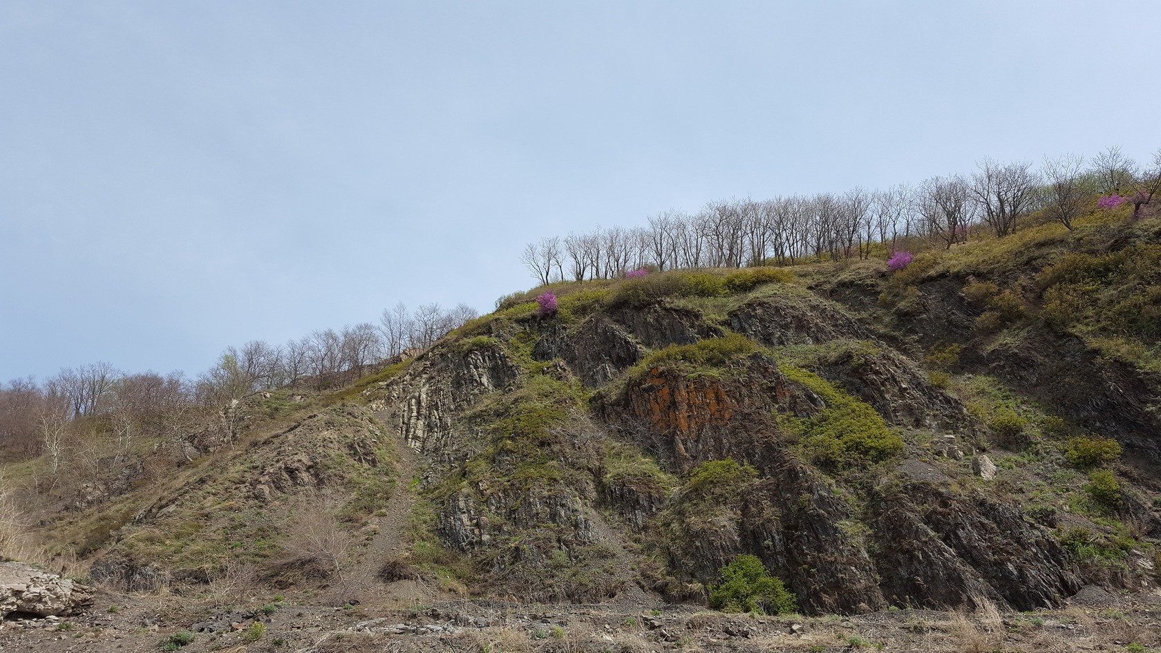 Комсомольск и окрестности, image of landscape/habitat.