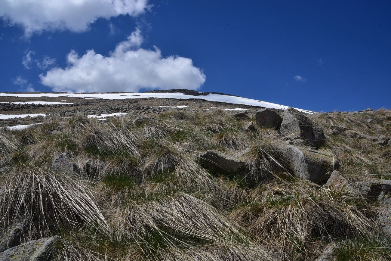 Крепость Кероглы, image of landscape/habitat.