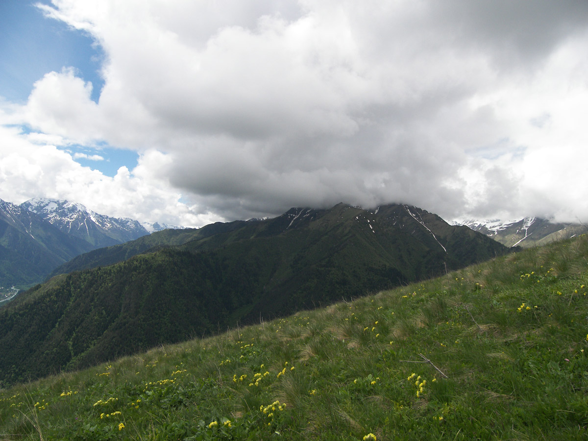 Гора Лысая, image of landscape/habitat.