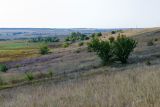 Тузловские склоны, image of landscape/habitat.