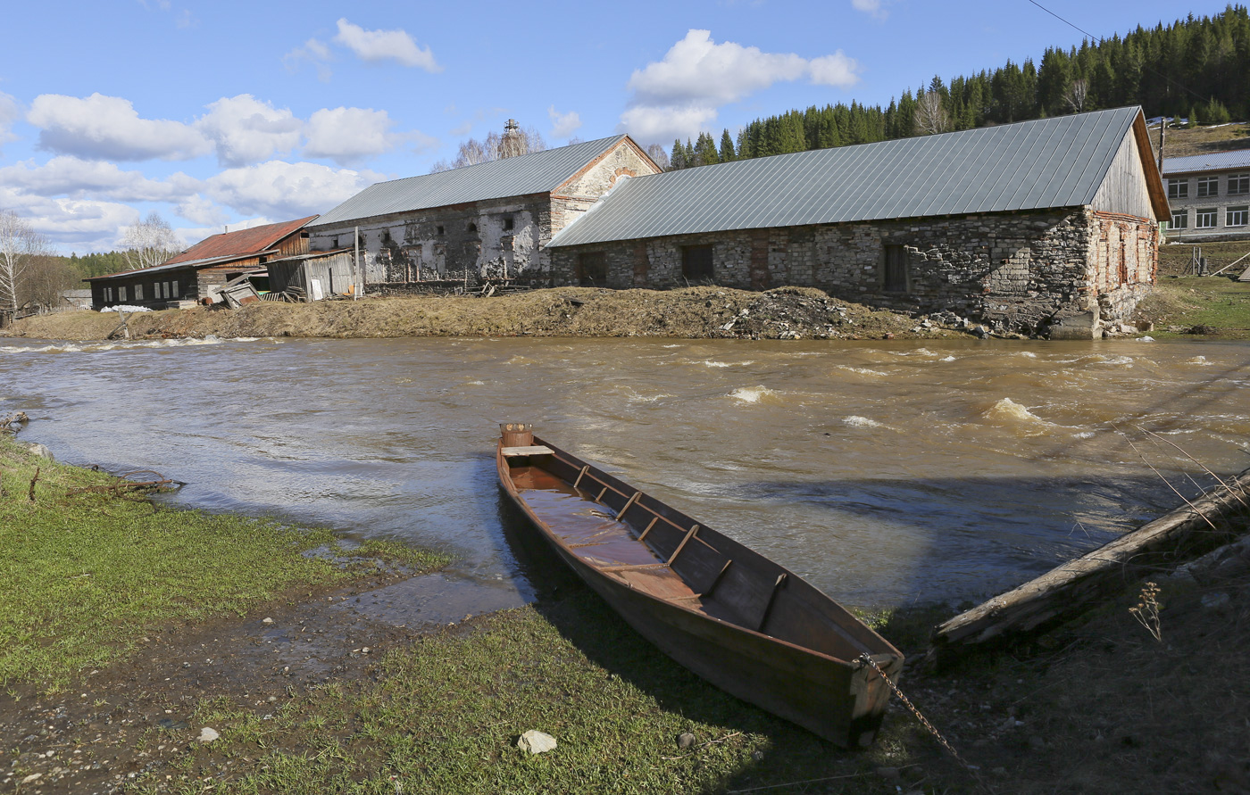 Кын и его окрестности, image of landscape/habitat.