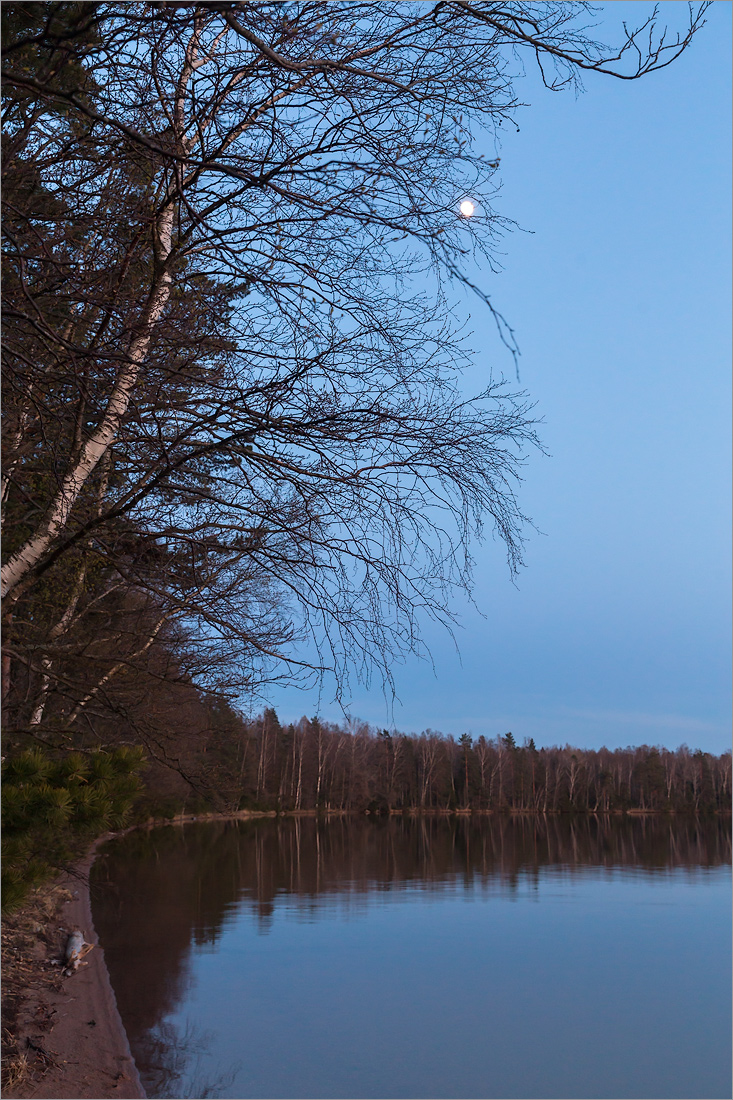 Озеро Белое, image of landscape/habitat.