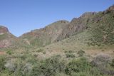 Image of landscape