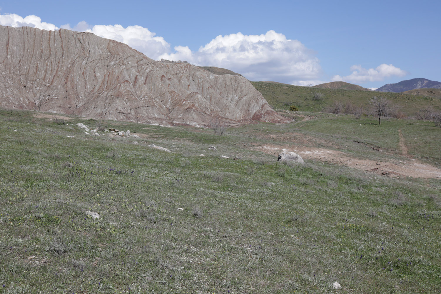 Лисья бухта, изображение ландшафта.