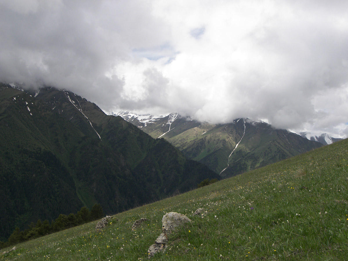 Гора Лысая, image of landscape/habitat.