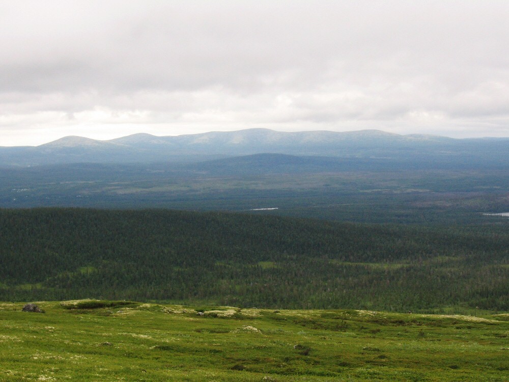 Колвицкие Тундры, изображение ландшафта.