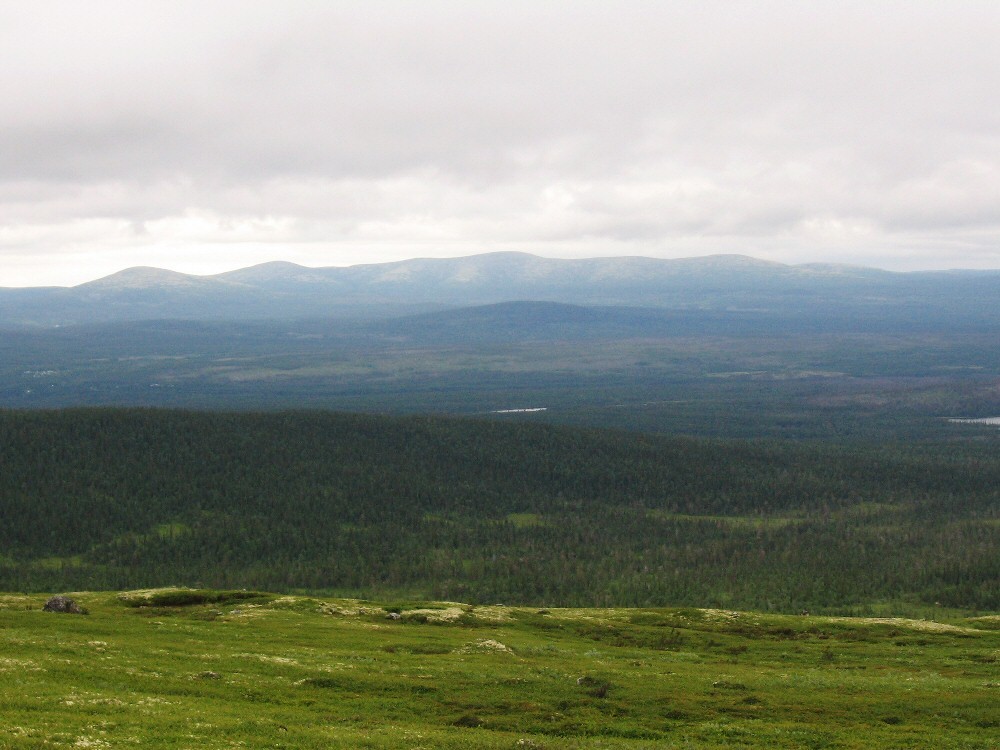 Колвицкие Тундры, image of landscape/habitat.