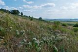 Тузловские склоны, image of landscape/habitat.