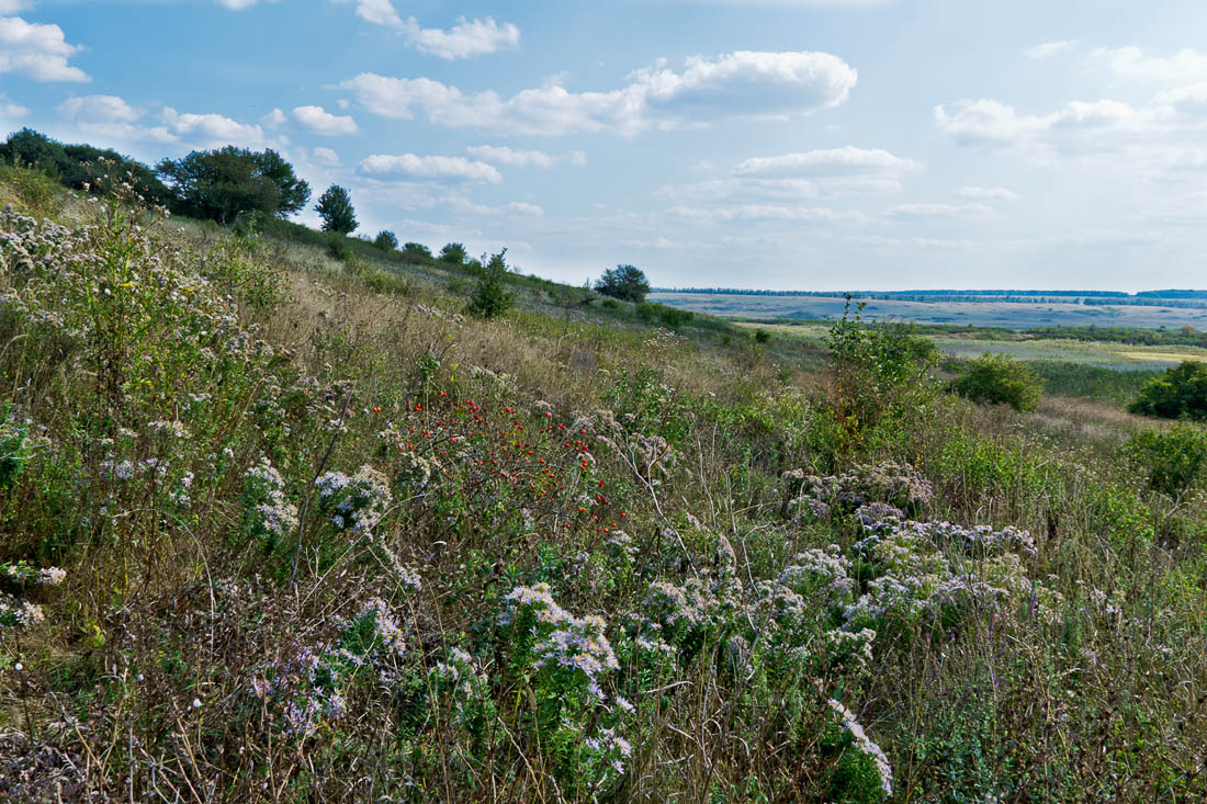 Тузловские склоны, image of landscape/habitat.