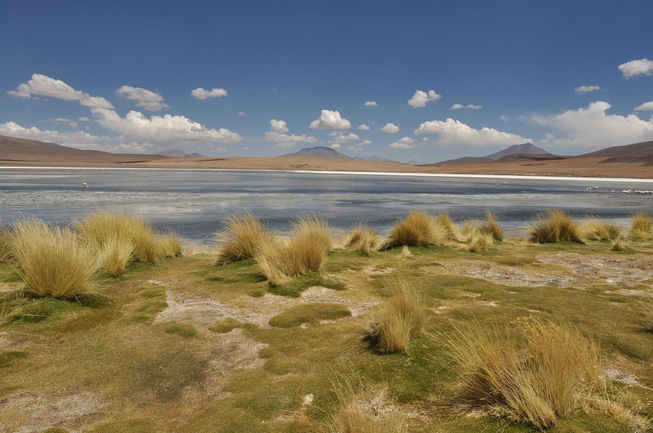 Озеро Каньяпа, изображение ландшафта.