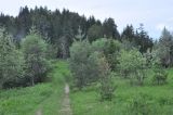 Image of landscape
