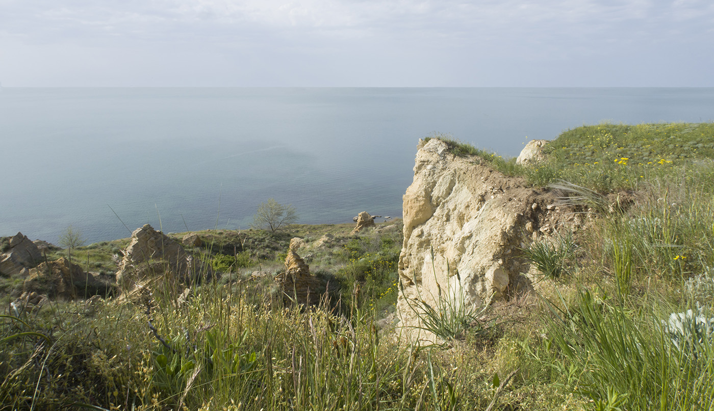 Мыс Тархан, изображение ландшафта.