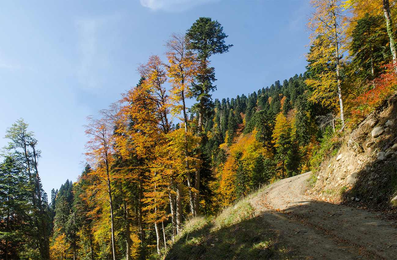 Парк водопадов Менделиха, image of landscape/habitat.