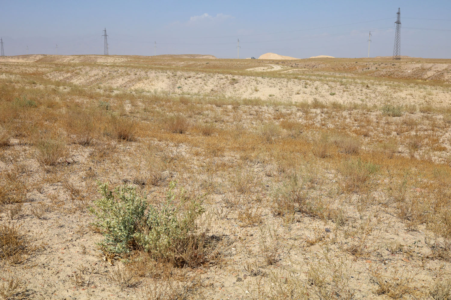 Папские адыры, image of landscape/habitat.