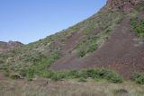 Image of landscape