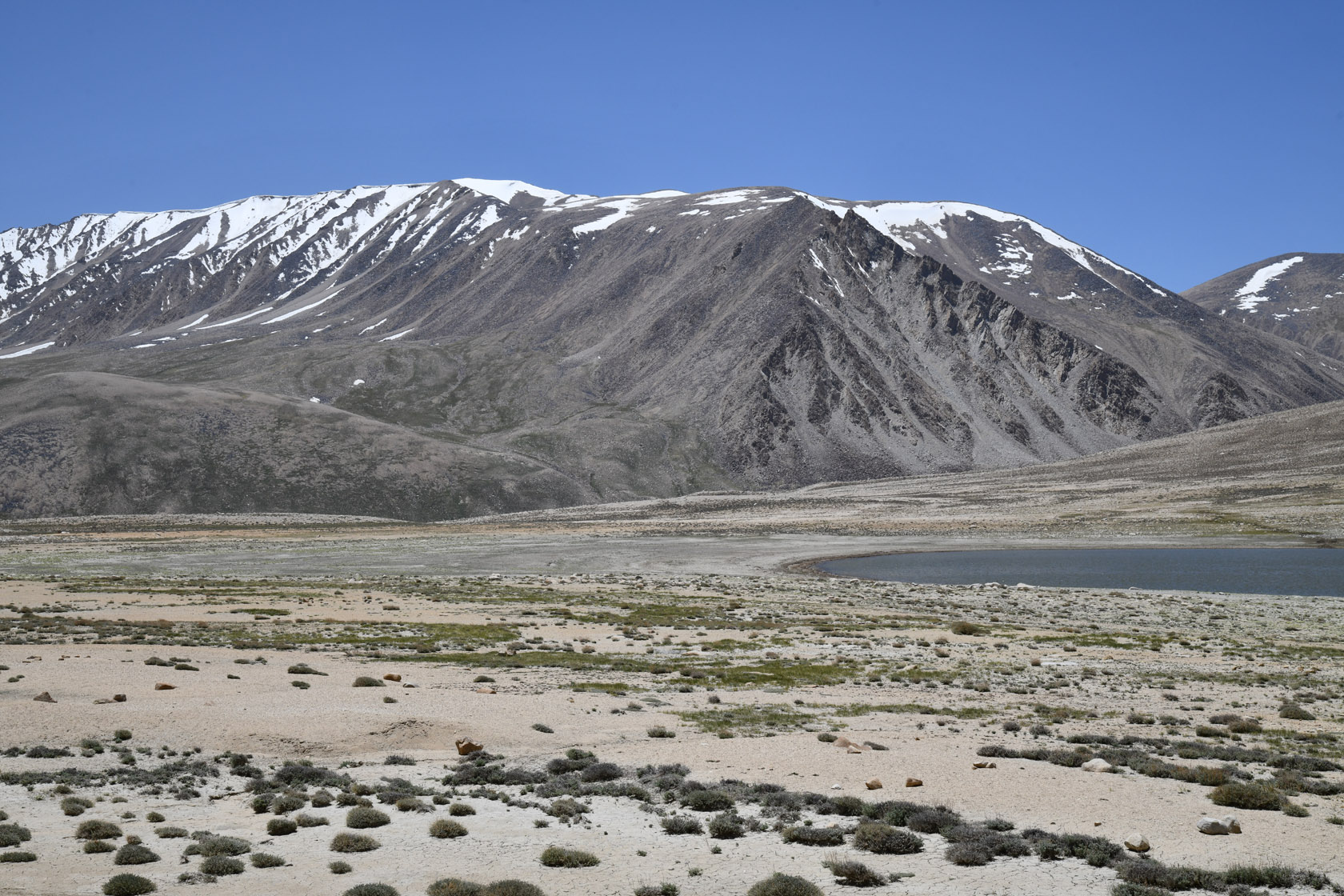 Харгуш, image of landscape/habitat.