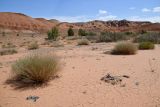 Image of landscape