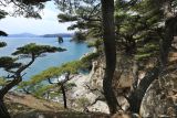 Image of landscape