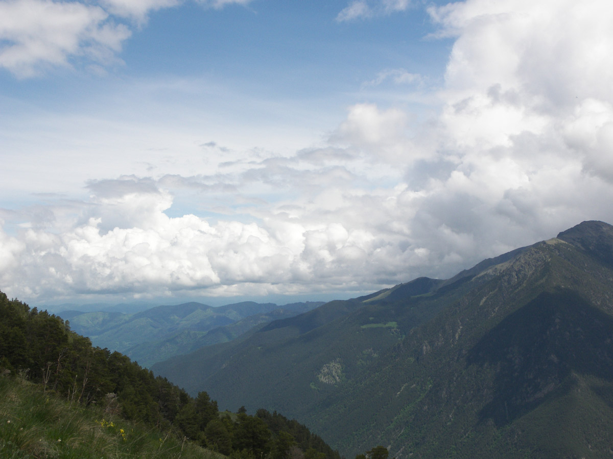 Гора Лысая, image of landscape/habitat.