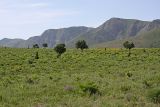 Горы Каракус, image of landscape/habitat.