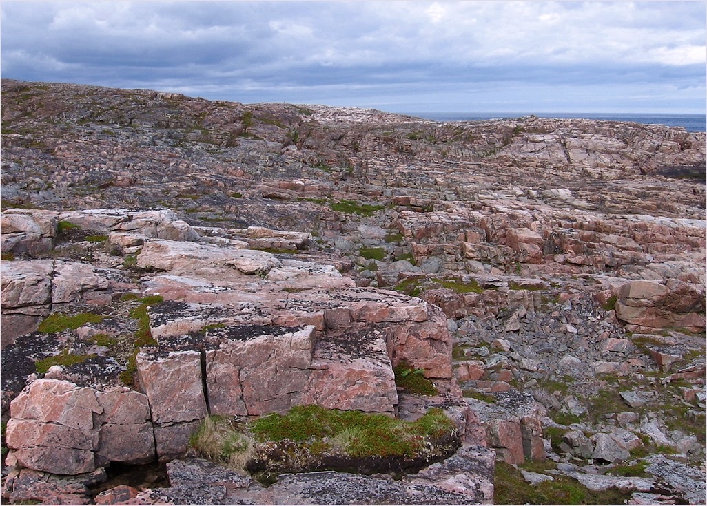 Губа Широкая, image of landscape/habitat.