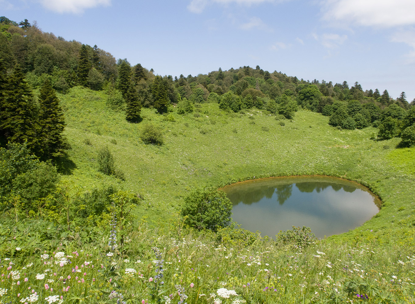 Чеше, image of landscape/habitat.