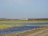 Пойма у хутора Гудко-Лиманский, image of landscape/habitat.