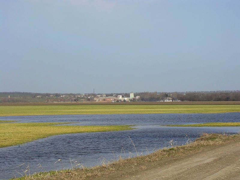 Пойма у хутора Гудко-Лиманский, image of landscape/habitat.