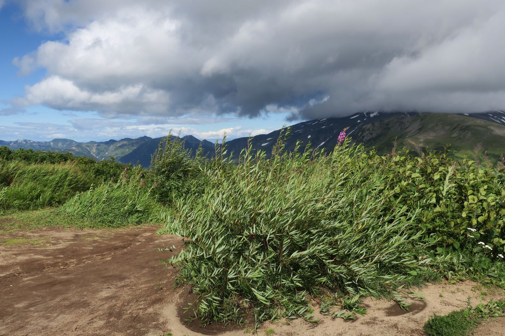 Вилючинский перевал, image of landscape/habitat.