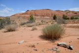 Image of landscape