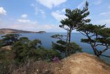 Image of landscape